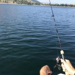 Riding the Waves: Best Surf Fishing Rods for Coastal Adventures