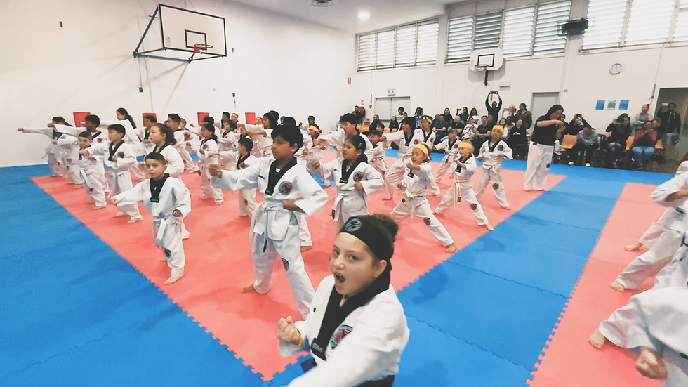 Taekwondo Belts