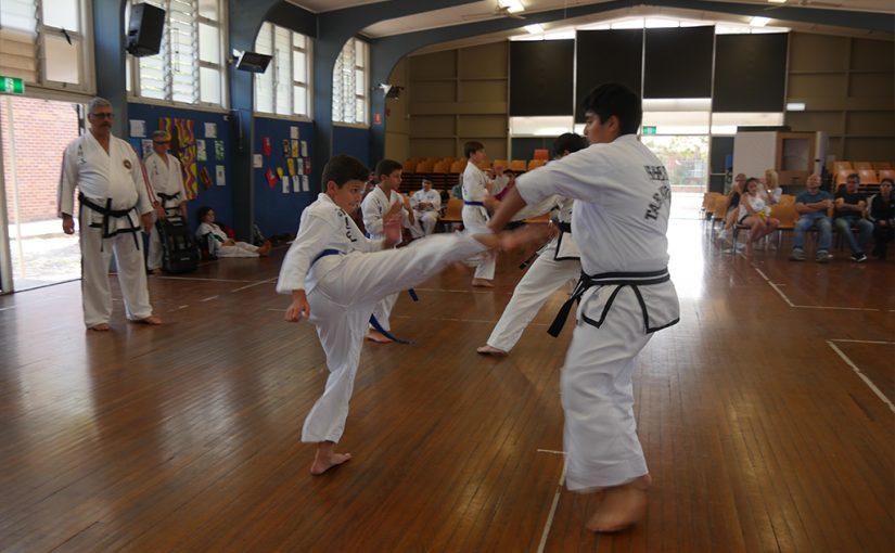 Unraveling the Significance of Taekwondo Belt插图2