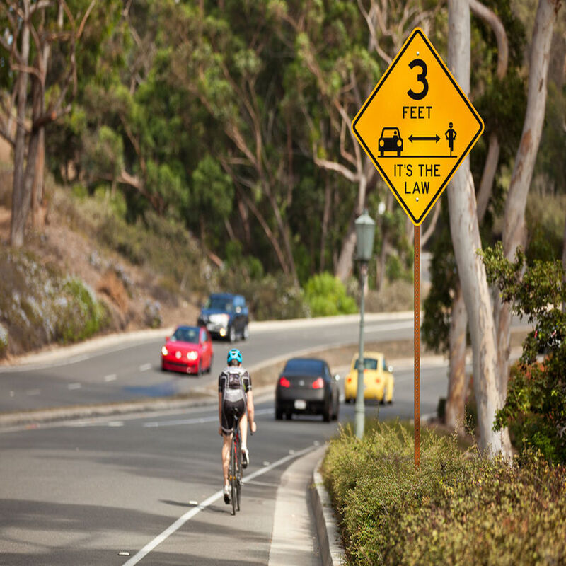 Famous Bicycle Riders