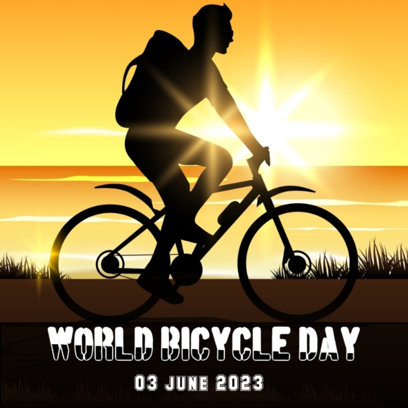 World Bicycle Day